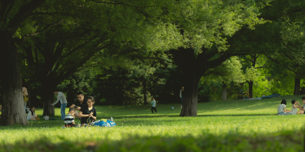 The picture shows a green park with families gathered together to enjoy the sun.