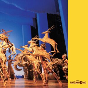 Lion King Play - picture of the stage